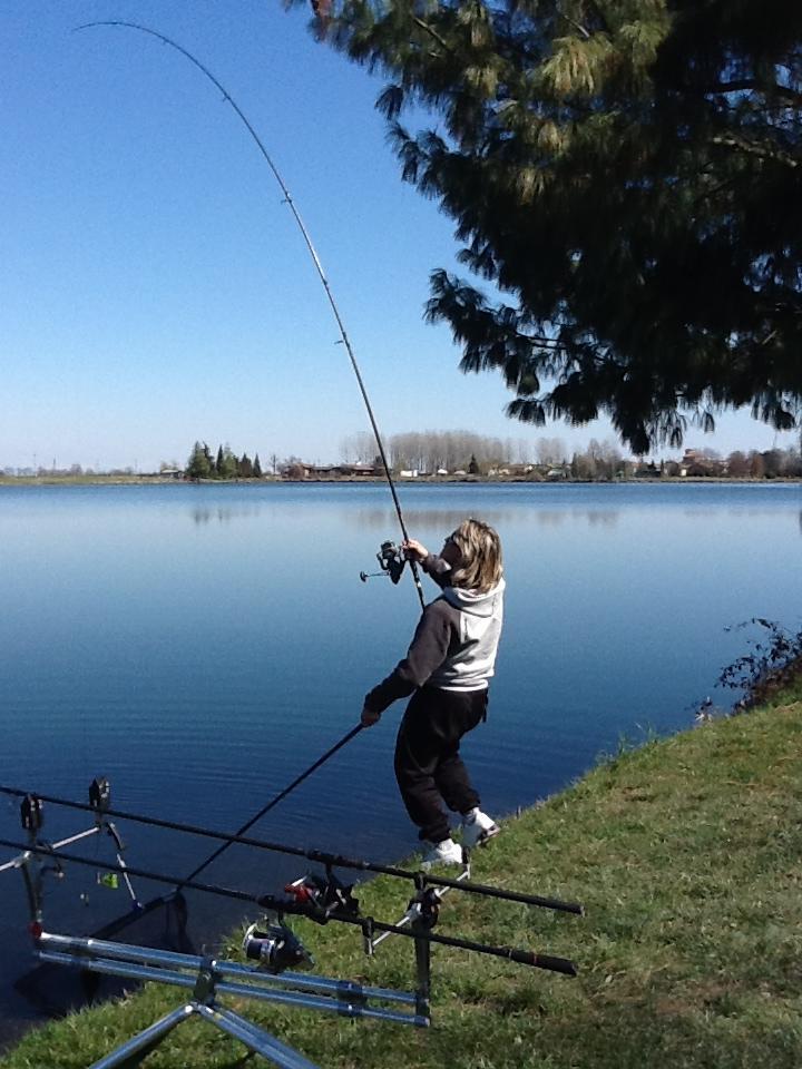 diverse 2 - 3144333231263511427261991276252n.jpg